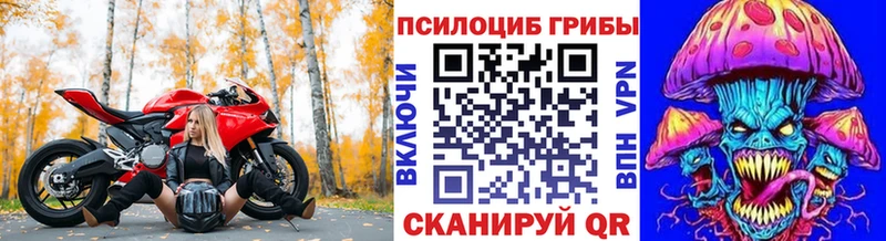 MEGA зеркало  Трубчевск  Галлюциногенные грибы мухоморы  где можно купить наркотик 